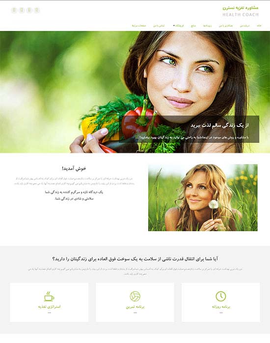 سایت شرکتی و مشاوره